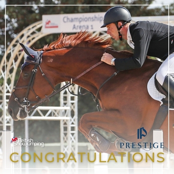 Seven horses qualify for the Prestige Italia Big Star 6-year-old Final at Wellington Riding